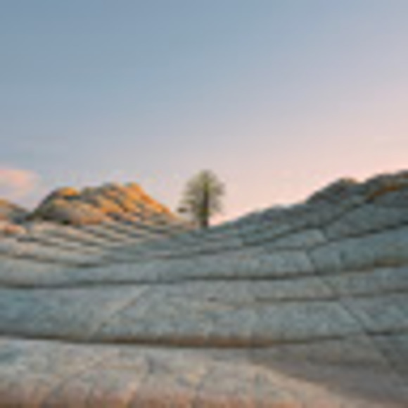 Meet your Posher, Anthony - Picture 1 of 1